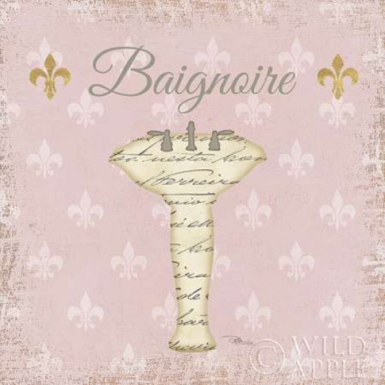 Vintage Bath VII Fleur Pink Poster Print by Pela Studio - Item # VARPDX16430